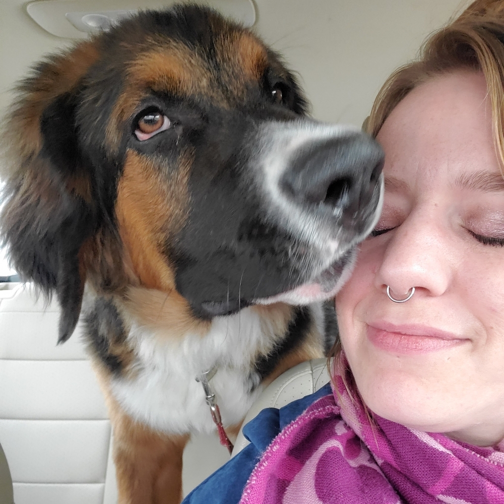 "I'm not a b***h but my dog is..." Nice to meet you! :)